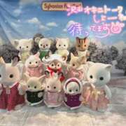 ヒメ日記 2025/01/03 22:16 投稿 さえ 素人妻達☆マイふぇらレディー