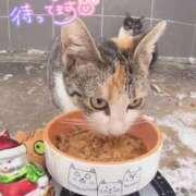 ヒメ日記 2025/01/11 11:43 投稿 さえ 素人妻達☆マイふぇらレディー