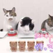 ヒメ日記 2025/02/22 10:01 投稿 さえ 素人妻達☆マイふぇらレディー