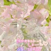 ヒメ日記 2025/02/22 18:33 投稿 さえ 素人妻達☆マイふぇらレディー