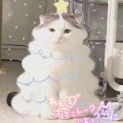 ヒメ日記 2025/02/23 18:45 投稿 さえ 素人妻達☆マイふぇらレディー