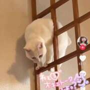 ヒメ日記 2025/03/07 11:44 投稿 さえ 素人妻達☆マイふぇらレディー