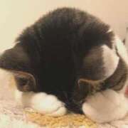 ヒメ日記 2025/03/12 10:45 投稿 さえ 素人妻達☆マイふぇらレディー