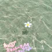 ヒメ日記 2025/03/13 21:59 投稿 さえ 素人妻達☆マイふぇらレディー