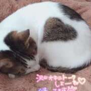 ヒメ日記 2025/03/15 11:18 投稿 さえ 素人妻達☆マイふぇらレディー