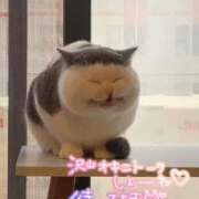 ヒメ日記 2025/03/16 11:27 投稿 さえ 素人妻達☆マイふぇらレディー