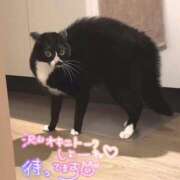 ヒメ日記 2025/03/18 11:54 投稿 さえ 素人妻達☆マイふぇらレディー