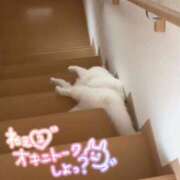 ヒメ日記 2025/03/21 11:11 投稿 さえ 素人妻達☆マイふぇらレディー