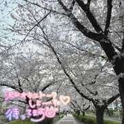 ヒメ日記 2025/04/02 15:02 投稿 さえ 素人妻達☆マイふぇらレディー