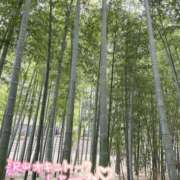 ヒメ日記 2025/04/03 19:34 投稿 さえ 素人妻達☆マイふぇらレディー