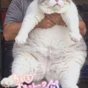 ヒメ日記 2025/04/04 11:29 投稿 さえ 素人妻達☆マイふぇらレディー