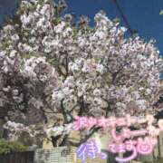 ヒメ日記 2025/04/12 12:39 投稿 さえ 素人妻達☆マイふぇらレディー