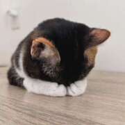 ヒメ日記 2025/05/27 11:32 投稿 さえ 素人妻達☆マイふぇらレディー