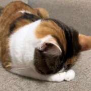 ヒメ日記 2025/05/30 10:46 投稿 さえ 素人妻達☆マイふぇらレディー