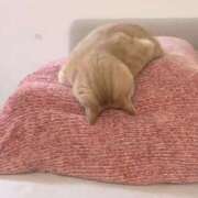 ヒメ日記 2025/06/19 17:15 投稿 さえ 素人妻達☆マイふぇらレディー