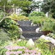 ヒメ日記 2025/08/03 09:30 投稿 さえ 素人妻達☆マイふぇらレディー