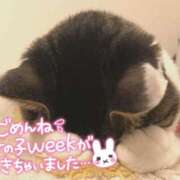 ヒメ日記 2025/08/05 09:53 投稿 さえ 素人妻達☆マイふぇらレディー