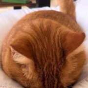 さえ すいませんm(_ _)m 素人妻達☆マイふぇらレディー