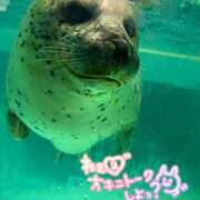 さえ 代償がデカイ！ 素人妻達☆マイふぇらレディー