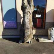 ヒメ日記 2024/12/15 09:03 投稿 まきこ 熟女の風俗最終章 高崎店