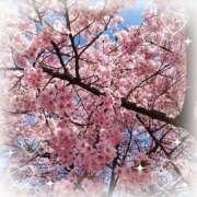 ヒメ日記 2024/12/20 18:42 投稿 まきこ 熟女の風俗最終章 高崎店