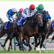 ヒメ日記 2024/12/21 17:22 投稿 まきこ 熟女の風俗最終章 高崎店