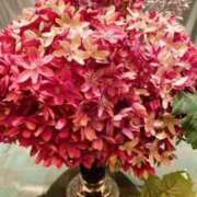 ヒメ日記 2025/02/21 14:30 投稿 まり 性腺熟女100％（デリヘル市場）