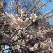 ヒメ日記 2025/03/11 10:03 投稿 まり 性腺熟女100％（デリヘル市場）