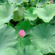 ヒメ日記 2025/08/07 15:50 投稿 まり 性腺熟女100％（デリヘル市場）