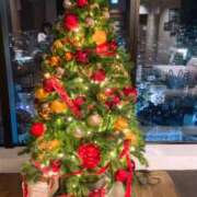 ヒメ日記 2025/12/16 10:40 投稿 まり 性腺熟女100％（デリヘル市場）