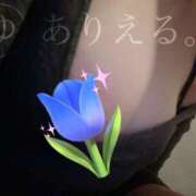 ヒメ日記 2025/04/07 13:54 投稿 ゆずき ARIEL（アリエル）（宮崎）