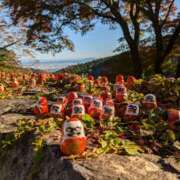 ヒメ日記 2024/12/14 10:41 投稿 なおみ 奥鉄オクテツ大阪