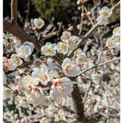 ヒメ日記 2025/02/27 21:12 投稿 なおみ 奥鉄オクテツ大阪