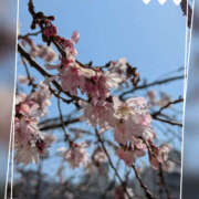 ヒメ日記 2025/03/22 18:30 投稿 なおみ 奥鉄オクテツ大阪