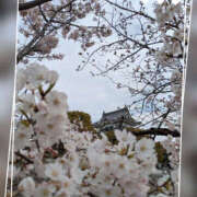 ヒメ日記 2025/04/06 10:15 投稿 なおみ 奥鉄オクテツ大阪