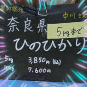 ヒメ日記 2025/04/25 13:14 投稿 なおみ 奥鉄オクテツ大阪