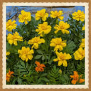 ヒメ日記 2025/06/01 14:32 投稿 なおみ 奥鉄オクテツ大阪