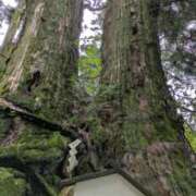 ヒメ日記 2025/06/12 22:37 投稿 なおみ 奥鉄オクテツ大阪