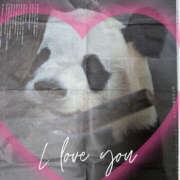 ヒメ日記 2025/06/28 07:37 投稿 なおみ 奥鉄オクテツ大阪