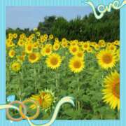 ヒメ日記 2025/07/05 13:15 投稿 なおみ 奥鉄オクテツ大阪