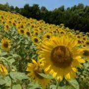 ヒメ日記 2025/07/10 14:54 投稿 なおみ 奥鉄オクテツ大阪