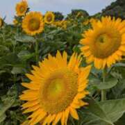 ヒメ日記 2025/08/09 13:19 投稿 なおみ 奥鉄オクテツ大阪