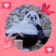 ヒメ日記 2025/08/14 08:44 投稿 なおみ 奥鉄オクテツ大阪