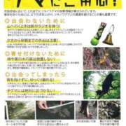 ヒメ日記 2025/09/29 20:19 投稿 なおみ 奥鉄オクテツ大阪