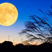 ヒメ日記 2025/11/06 09:36 投稿 なおみ 奥鉄オクテツ大阪