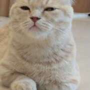 ヒメ日記 2025/12/29 18:05 投稿 なおみ 奥鉄オクテツ大阪