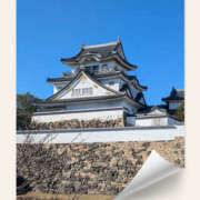 ヒメ日記 2026/01/12 08:27 投稿 なおみ 奥鉄オクテツ大阪