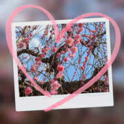 ヒメ日記 2026/02/12 22:47 投稿 なおみ 奥鉄オクテツ大阪