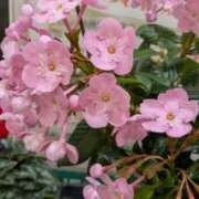 ヒメ日記 2026/03/01 00:54 投稿 なおみ 奥鉄オクテツ大阪