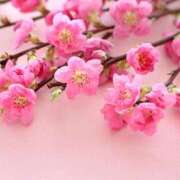 ヒメ日記 2026/03/03 21:35 投稿 なおみ 奥鉄オクテツ大阪